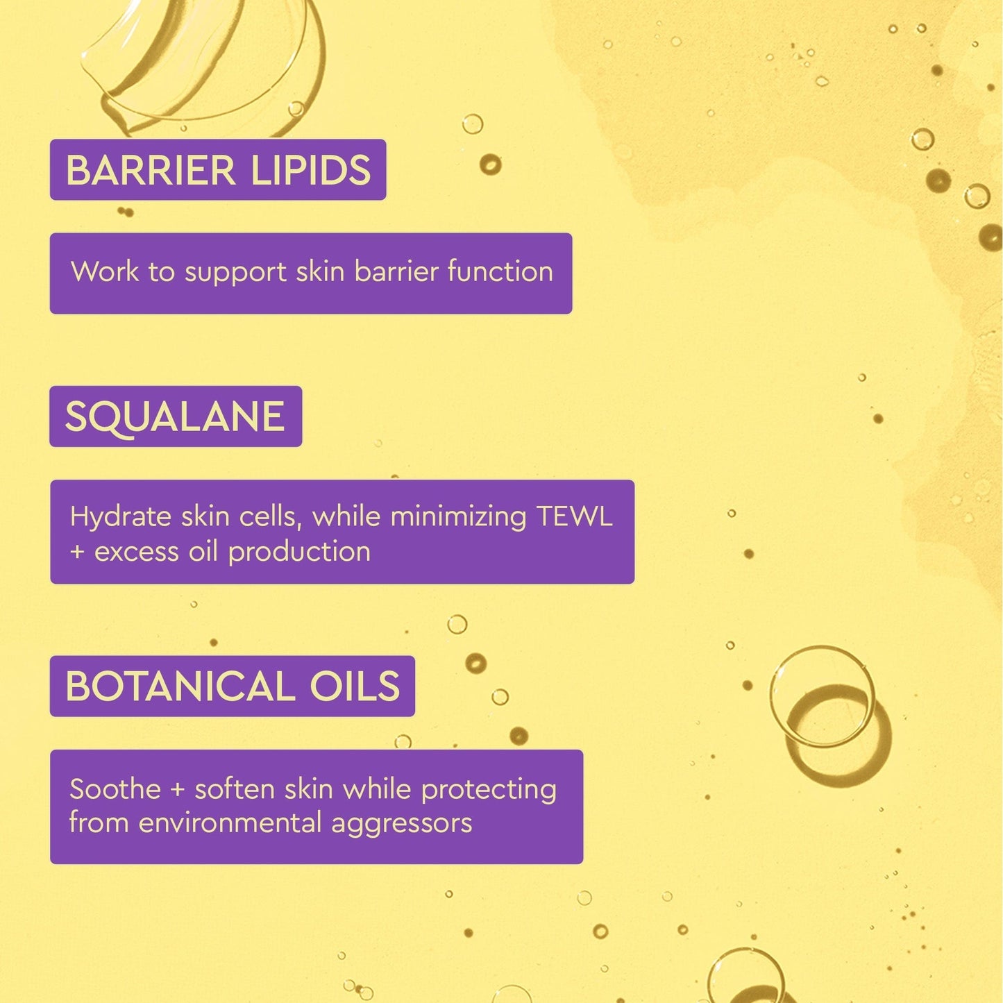 Yellow background has information about BARRIER LIPIDS, SQUALANE AND BOTANICAL OILS.