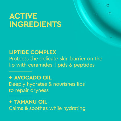List of active ingredients for lip care product on a teal background